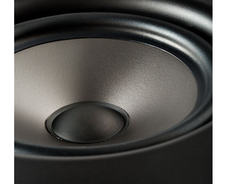 polk v65 woofer