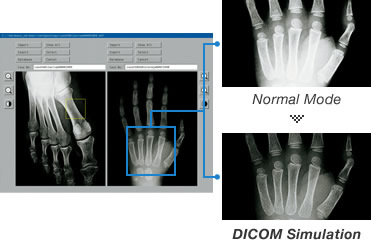 PT-EZ590E Dicom